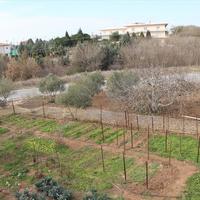 Land plot in Greece