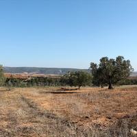 Land plot in Greece, 4000 sq.m.