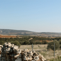 Land plot in Greece, 900 sq.m.