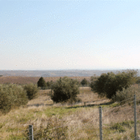 Land plot in Greece, 900 sq.m.