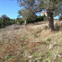 Land plot in Greece