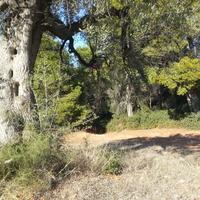 Земельный участок в Греции