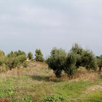 Land plot in Greece