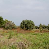 Land plot in Greece