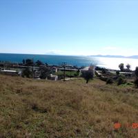 Land plot in Greece, 7000 sq.m.