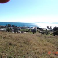 Land plot in Greece, 7000 sq.m.
