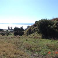 Land plot in Greece, 7000 sq.m.