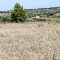 Land plot in Greece