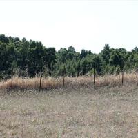 Land plot in Greece