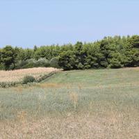 Land plot in Greece