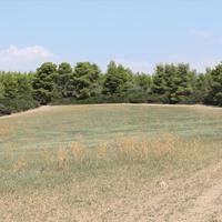 Land plot in Greece