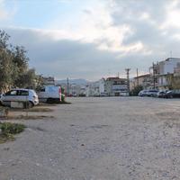 Land plot in Greece, 3500 sq.m.