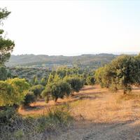 Land plot in Greece