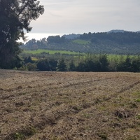 Land plot in Greece