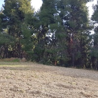 Land plot in Greece