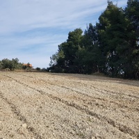 Land plot in Greece
