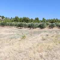Land plot in Greece