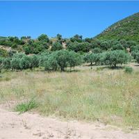 Land plot in Greece