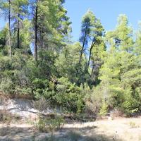 Land plot in Greece