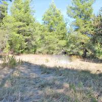 Land plot in Greece