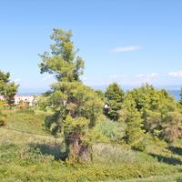 Villa in Greece, 350 sq.m.