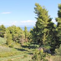 Villa in Greece, 350 sq.m.