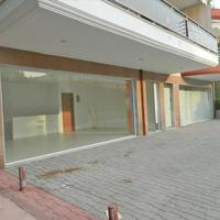 Бизнес-центр в Греции, 100 кв.м.