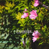 Квартира в Болгарии, Солнечный Берег, 51 кв.м.