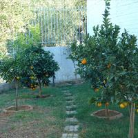 Villa in Greece, 300 sq.m.