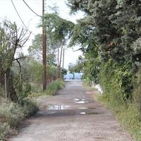 Земельный участок в Греции, 2600 кв.м.