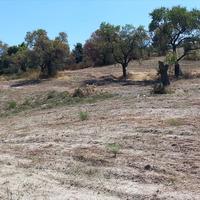 Земельный участок в Греции