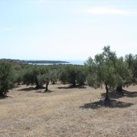 Land plot in Greece