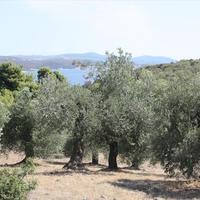 Land plot in Greece