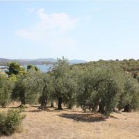 Land plot in Greece