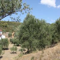 Земельный участок в Греции