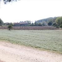 Land plot in Greece