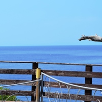 Villa in Greece, 250 sq.m.