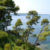 Villa in Greece, 250 sq.m.