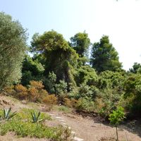 Villa in Greece, 250 sq.m.