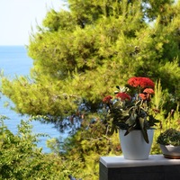 Villa in Greece, 250 sq.m.