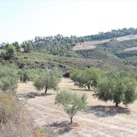 Land plot in Greece