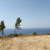 Land plot in Greece, 51000 sq.m.