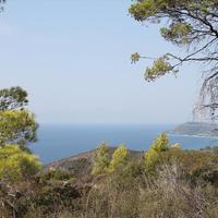 Land plot in Greece, 51000 sq.m.