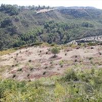 Land plot in Greece, 51000 sq.m.