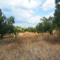 Land plot in Greece