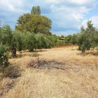 Land plot in Greece