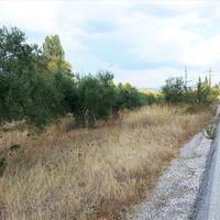 Land plot in Greece