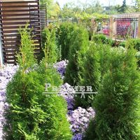 Квартира в Болгарии, Равда, 53 кв.м.