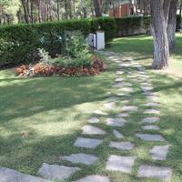 Другое в Греции, 85 кв.м.