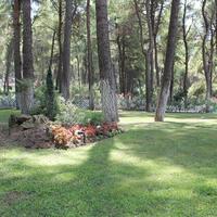 Другое в Греции, 85 кв.м.